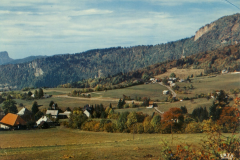 Sarcenas