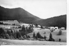sarcenas-