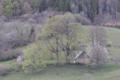 Grange du Croz, Sarcenas