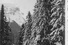 croix-et-jay-