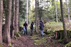 Entretien chemin