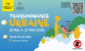 Visuel transhumance Urbaine 2026
